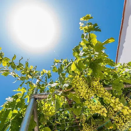 Kamariko Traditional House Appartement *