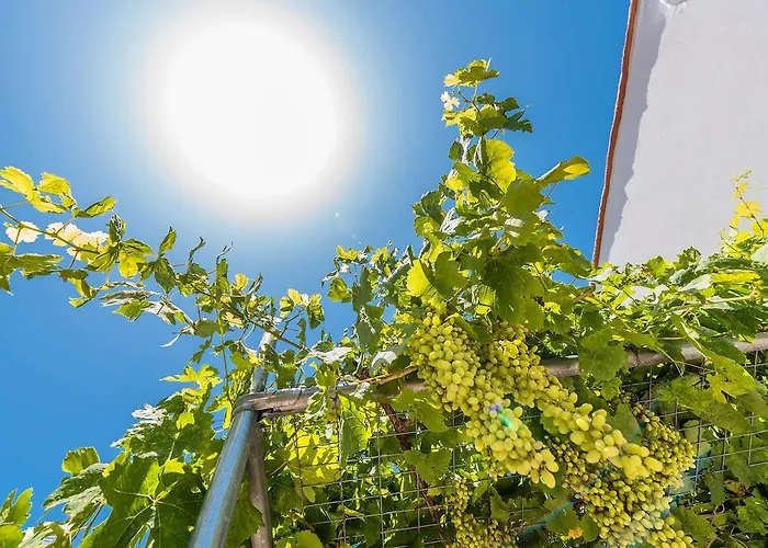 Kamariko Traditional House アパート *